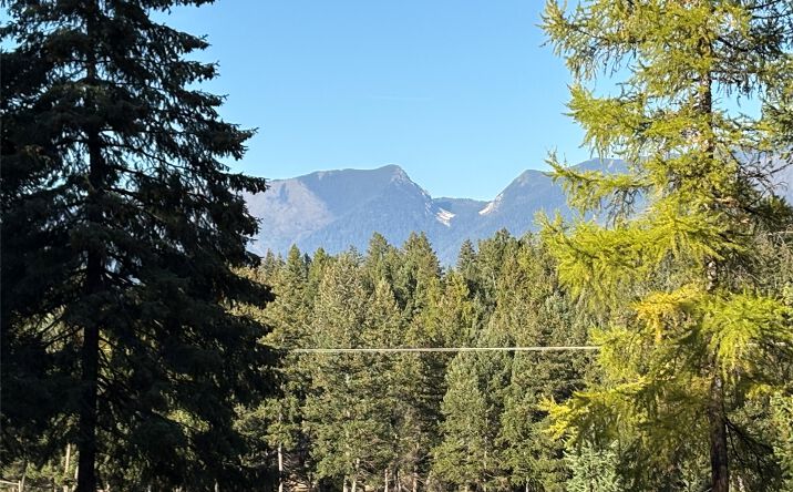 Pictures of Land property located at NHN (Lot 1B) Badger Trail, Eureka, MT 59917 for sales - image #1
