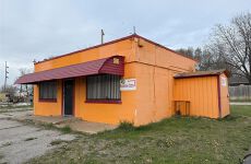 31335637