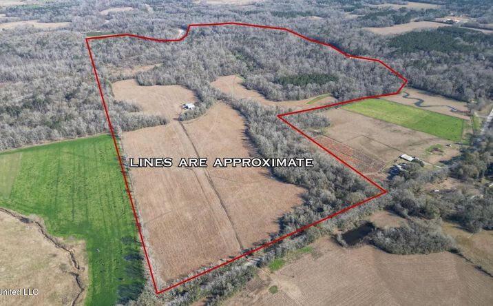 Pictures of Land property located at 11311 Port Hudson-Pride Road, 52595, LA 70791 for sales - image #1
