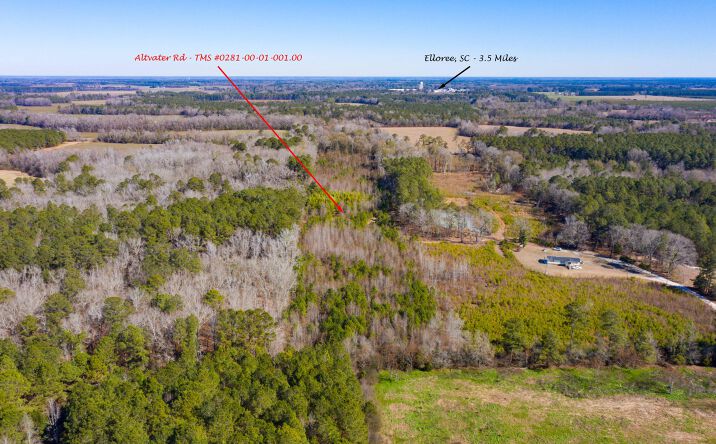 Pictures of Land, Multifamily property located at Altvater Road, Elloree, SC 29047 for sales - image #1