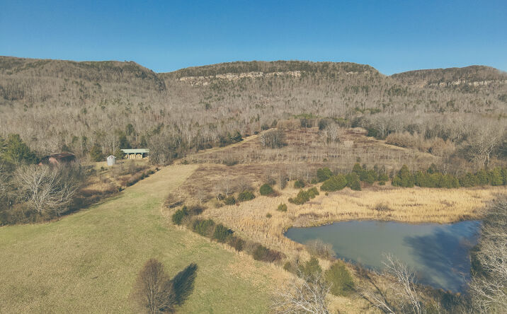 Pictures of Land property located at 3229 Old State Hwy 28, Dunlap, TN 37327 for sales - image #1