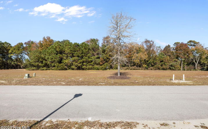 Pictures of Land property located at 117 37 Hardwick Lane, Newport, NC 28570 for sales - image #1