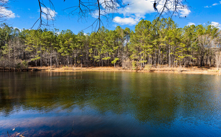 Pictures of Land property located at 877 McKee Rd, Waverly Hall, GA 31831 for sales - image #1