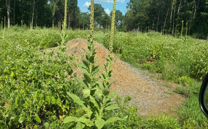 Pictures of Land property located at 5660 Seminary Rd, Smyrna, TN 37167 for sales - image #1
