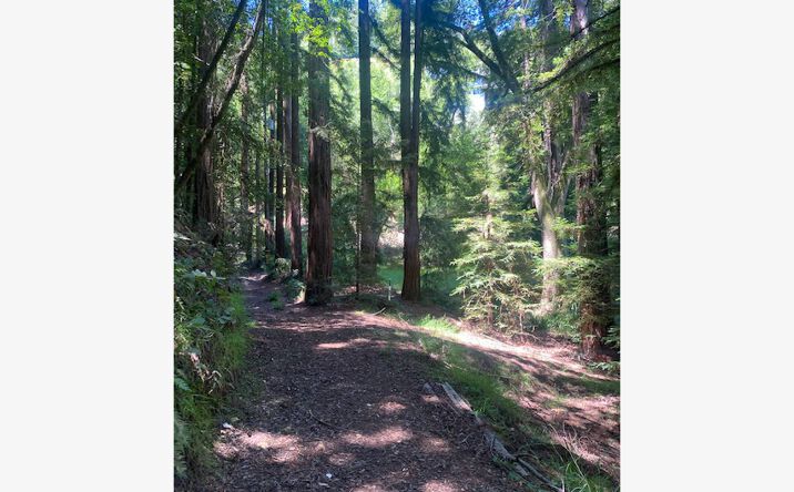 Pictures of Land property located at 2 Wainwright Pl, Mill Valley, CA 94941 for sales - image #1