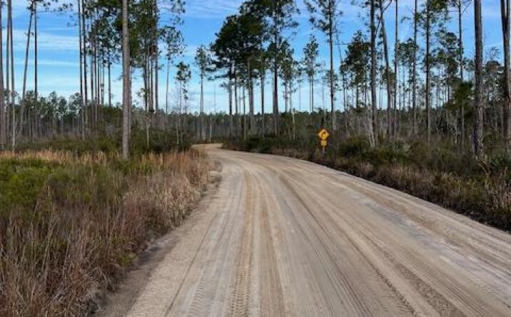Pictures of Land property located at Bergman Road, Naylor, GA 31641 for sales - image #1