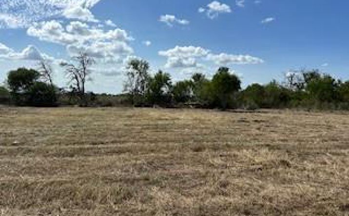 Pictures of Land property located at 217 Twin Oaks Ln, Floresville, TX 78114 for sales - image #1
