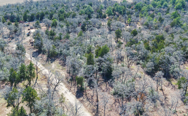 Pictures of Land property located at Private Rd 3221, Rockdale, TX 76567 for sales - image #1