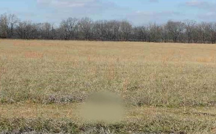 Pictures of Land property located at Ball Park Loop, Ledbetter, KY 42058 for sales - image #1