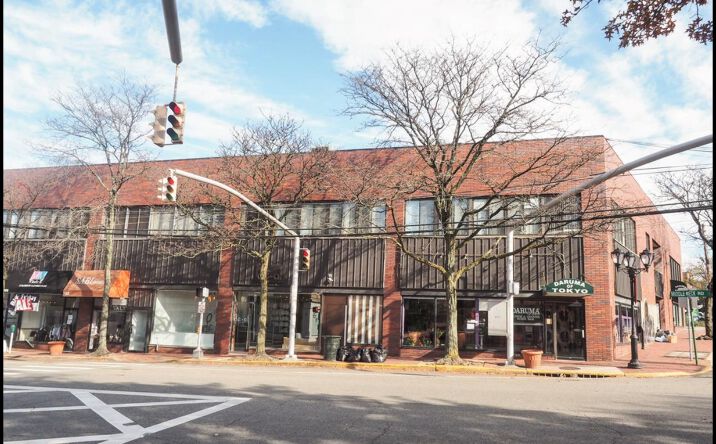 Pictures of Business for Sale, Office, Retail property located at 17 Maple Drive, North Hempstead, NY 11021 for sales - image #1