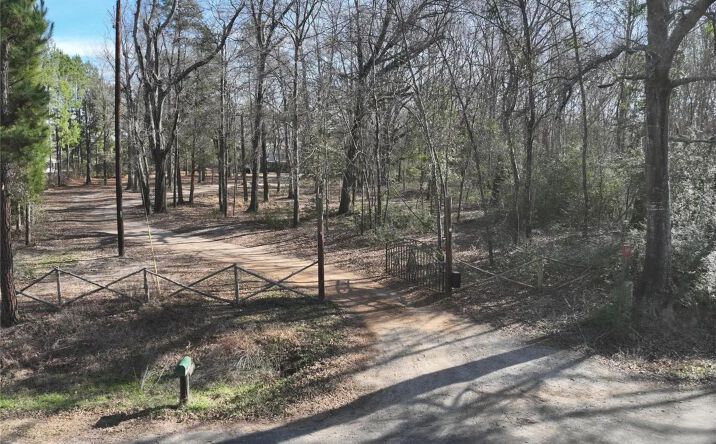 Pictures of Land property located at TBD CR 3170, 128465, TX 75783 for sales - image #1