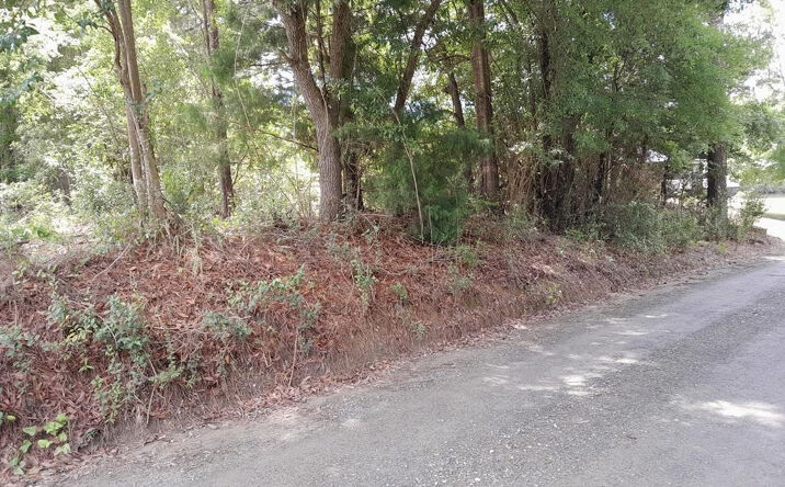 Pictures of Land, Multifamily property located at E Macs Landing Road Tract C, Cross, SC 29436 for sales - image #1