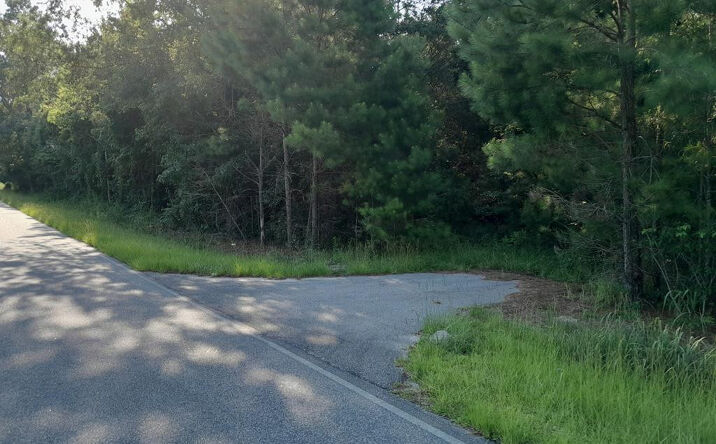 Pictures of Land property located at Near Thomas Walters Road Tract "b", Cross, SC 29436 for sales - image #1