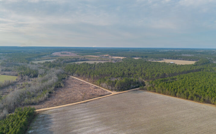 Pictures of Land property located at Reddish Rd, Odum, GA 31555 for sales - image #1