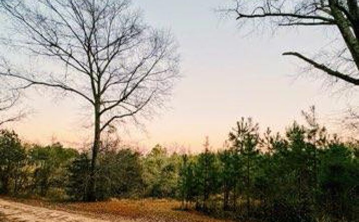 Pictures of Land, Multifamily property located at Darron Hodge Lane, Poplarville, MS 39470 for sales - image #1