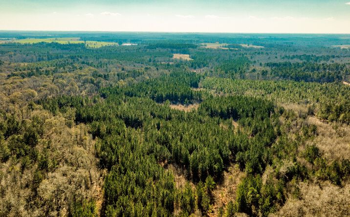 Pictures of Land property located at Crooked Rd, Millen, GA 30442 for sales - image #1