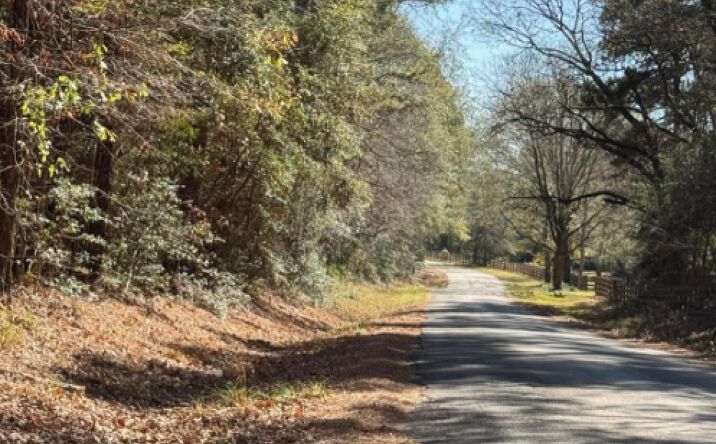 Pictures of Land property located at Horace Bonds Rd, Livingston, TX 77351 for sales - image #1