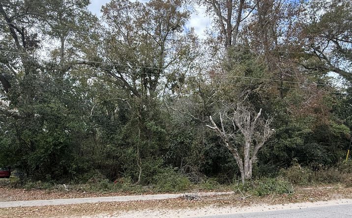 Pictures of Land, Multifamily property located at 880 Carlisle Street, Bamberg, SC 29003 for sales - image #1