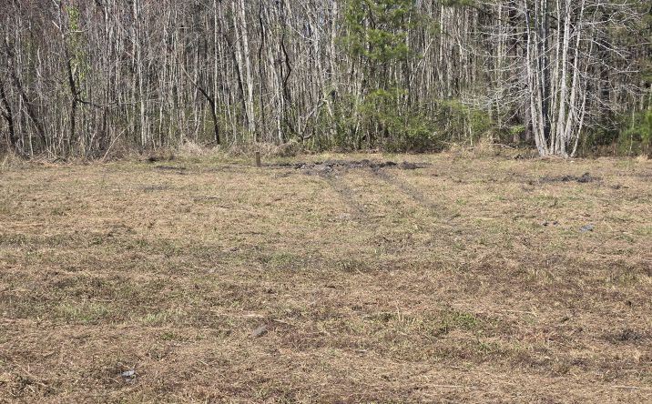 Pictures of Land, Multifamily property located at Drain Road, Smoaks, SC 29481 for sales - image #1