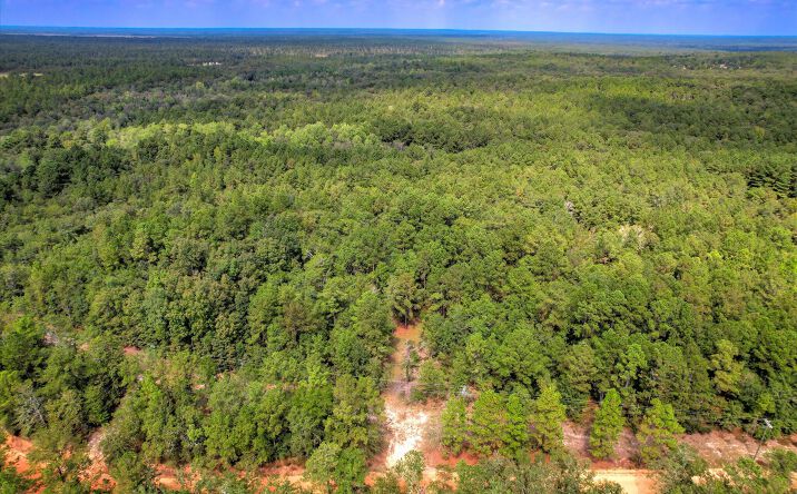 Pictures of Land property located at -001a Centerwood Road, Williston, SC 29853 for sales - image #1