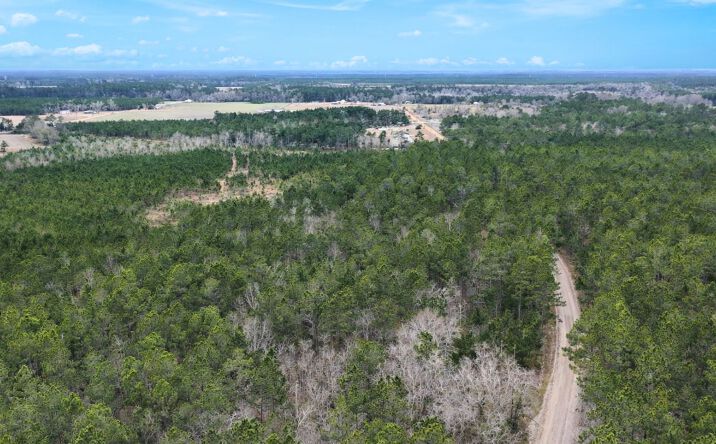 Pictures of Land property located at Wheaton Rd, Odum, GA 31555 for sales - image #1