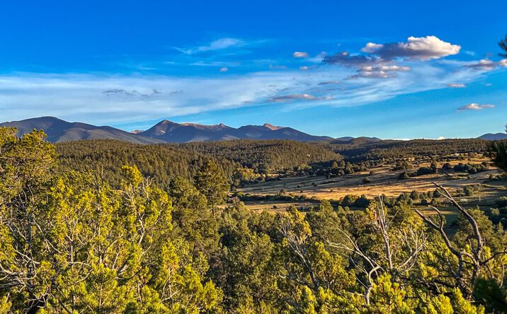 Pictures of Land property located at TBD, Chamisal, USA 87553 for sales - image #1