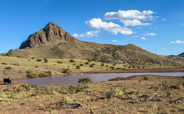 Pictures of Land property located at Magdalena, New Mexico 87825, USA, Magdalena, USA 87825 for sales - image #1
