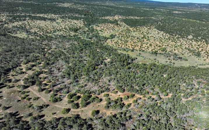 Pictures of Land property located at Tijeras, Tijeras, NM 87059 for sales - image #1