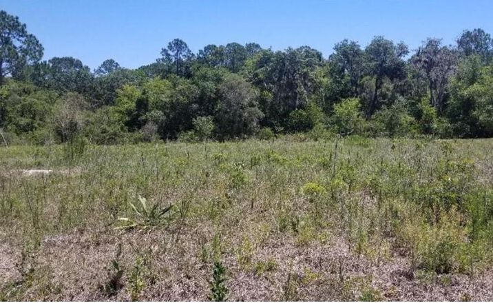 Pictures of Land property located at 316 Bass Lane, Kissimmee, FL 34759 for sales - image #1