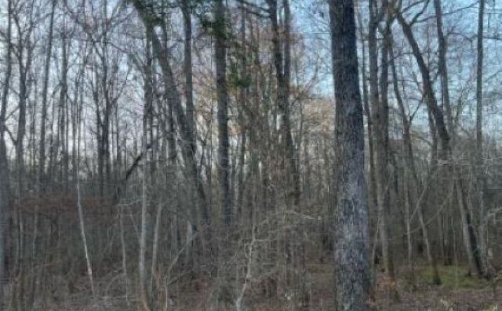 Pictures of Land property located at TBD State Highway 135, Troup, TX 75789 for sales - image #1