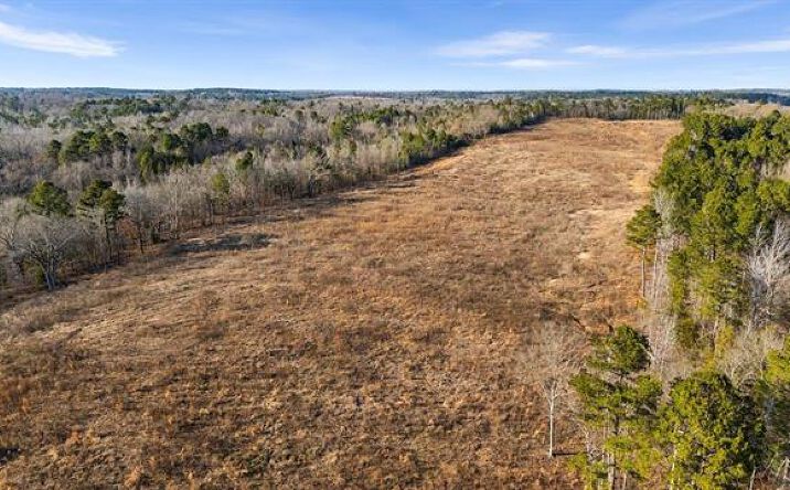 Pictures of Land property located at 12348 FM 2767, Tyler, TX 75708 for sales - image #1