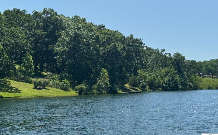 Pictures of Land, Special Purpose property located at 10 Lots Hummingbird, Warsaw, MO 65355 for sales - image #1