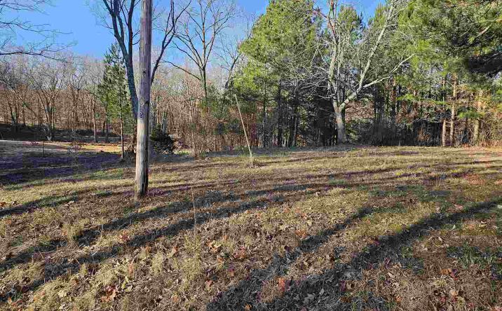 Pictures of Land, Special Purpose, Multifamily property located at 19549 N Moonbeam Lane, Mt Vernon, IL 62864 for sales - image #1