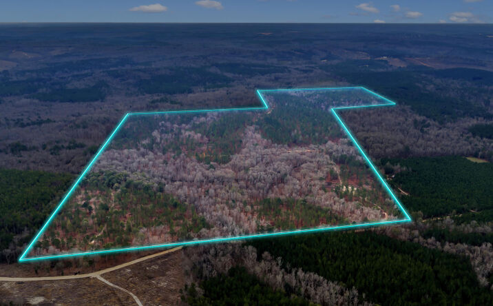 Pictures of Land property located at 0 Durham Mill Rd, Jeffersonville, GA 31044 for sales - image #1
