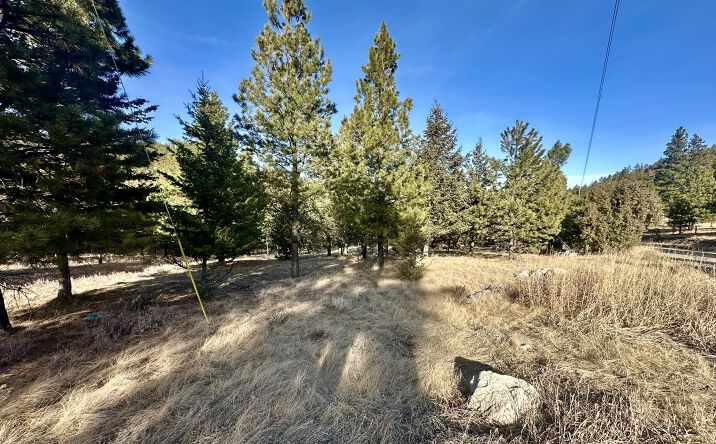 Pictures of Land property located at TBD Martinez Gulch, Clancy, MT 59634 for sales - image #1