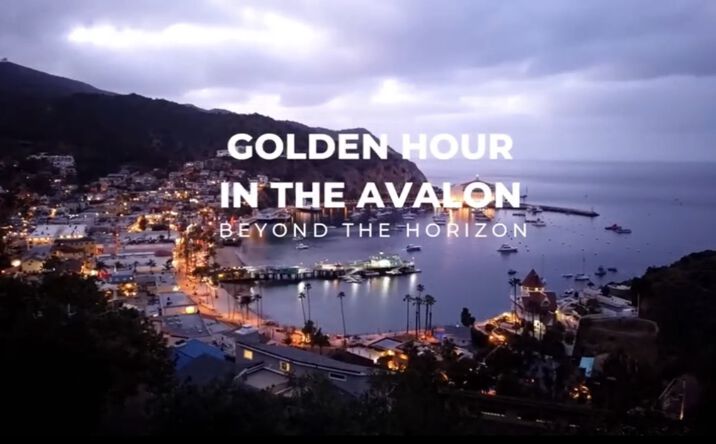 Pictures of Hospitality property located at 229 Metropole Ave, Avalon, CA 90704 for sales - image #1
