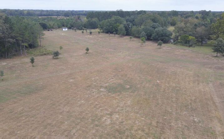 Pictures of Land property located at 000 Tee Vee Road, Elloree, SC 29047 for sales - image #1
