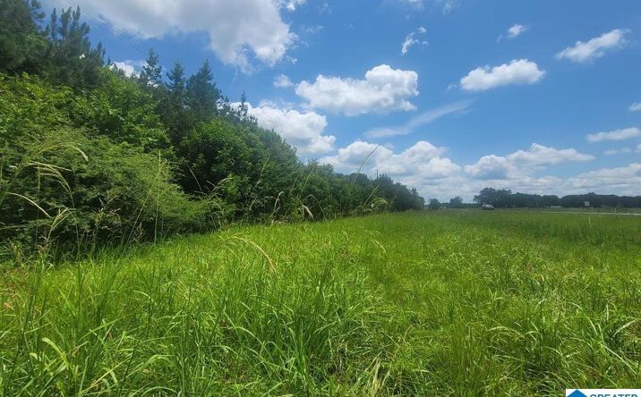 Pictures of Land property located at 0 Highway 280 #1, Harpersville, AL 35078 for sales - image #1