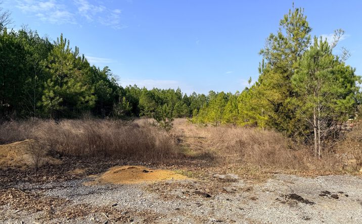 Pictures of Land property located at 297 Alabaster Blvd, Alabaster, AL 35007 for sales - image #1