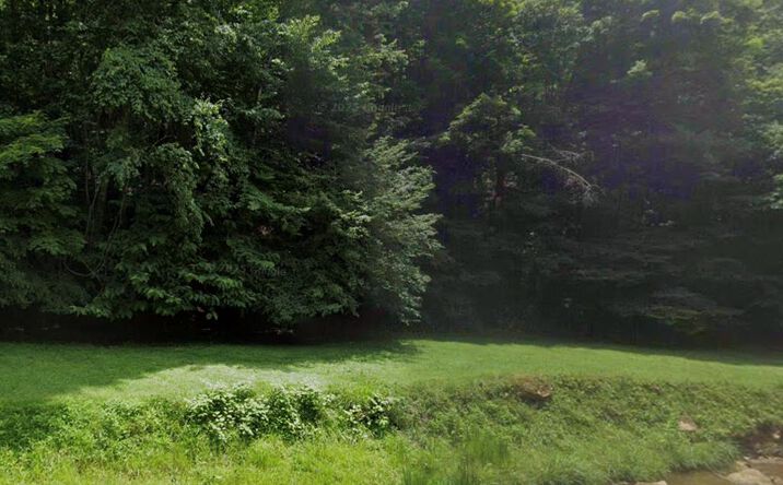 Pictures of Land, Multifamily property located at TBD Lick Log Road, Grundy, VA 24614 for sales - image #1