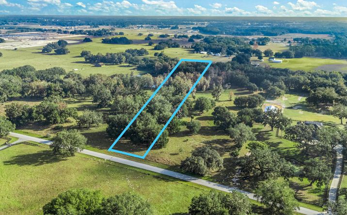 Pictures of Land property located at County Road 221 - Tract 1, Wildwood, FL 34785 for sales - image #1