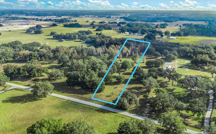 Pictures of Land property located at Tract 2 - County Road 221, Wildwood, FL 34785 for sales - image #1