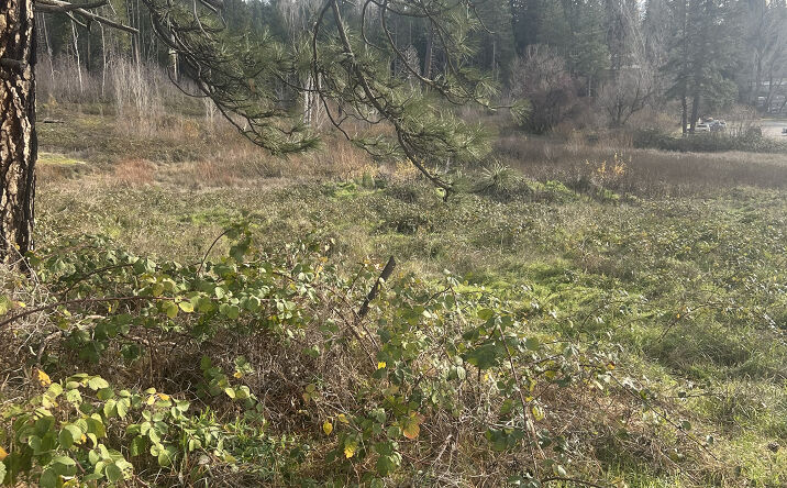 Pictures of Land property located at 0 Adams Lane Street, Grass Valley, CA 95945 for sales - image #1