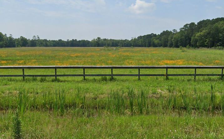 Pictures of Land property located at 20924 I-10, Wallisville, TX 77597 for sales - image #1