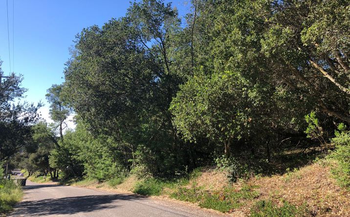 Pictures of Land property located at 221 Tucker, Royal Oaks, CA 95076 for sales - image #1