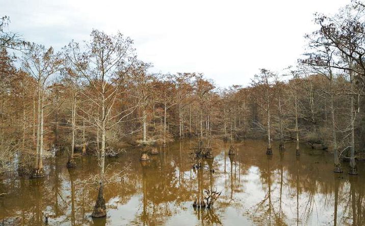 Pictures of Land property located at 0 Hwy 18, bolivar, Bolivar, TN 38008 for sales - image #1