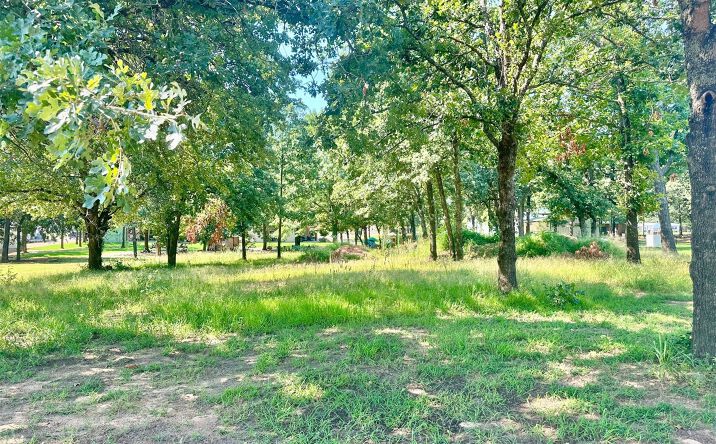 Pictures of Land property located at 12095 Rhynes Circle, Kingston, OK 73439 for sales - image #1