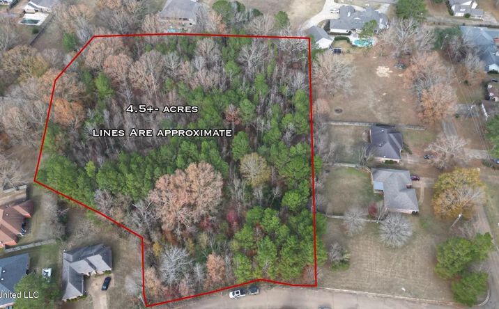 Pictures of Land property located at 699 Meadow Lane, 68931, MS 39272 for sales - image #1