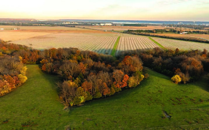 Pictures of Land property located at 239th Ave, Montrose, IA 52639 for sales - image #1