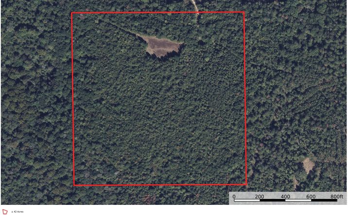Pictures of Land property located at Perryville Rd, Monroeville, AL, AL 36460 for sales - image #1